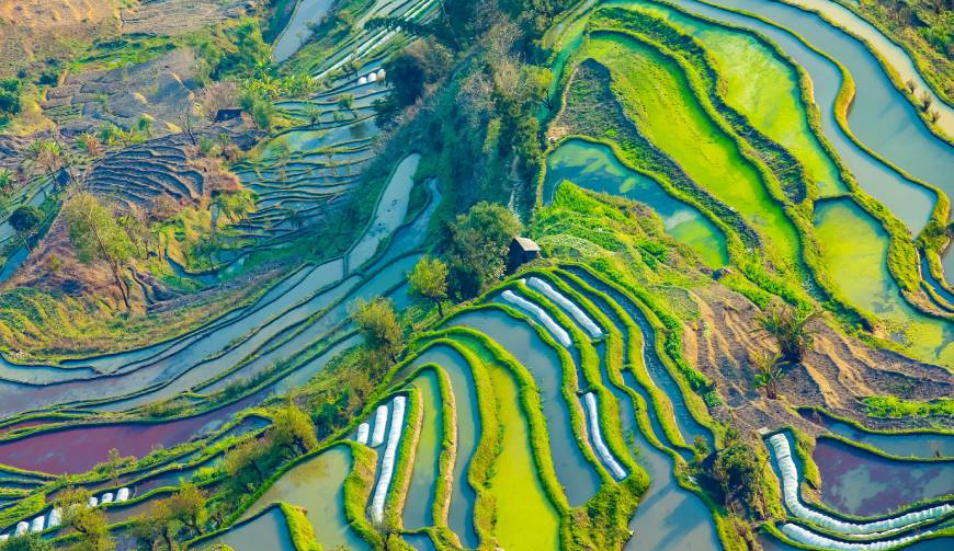 宝妈必备神器：德庆县产品视频拍摄轻松育儿好帮手